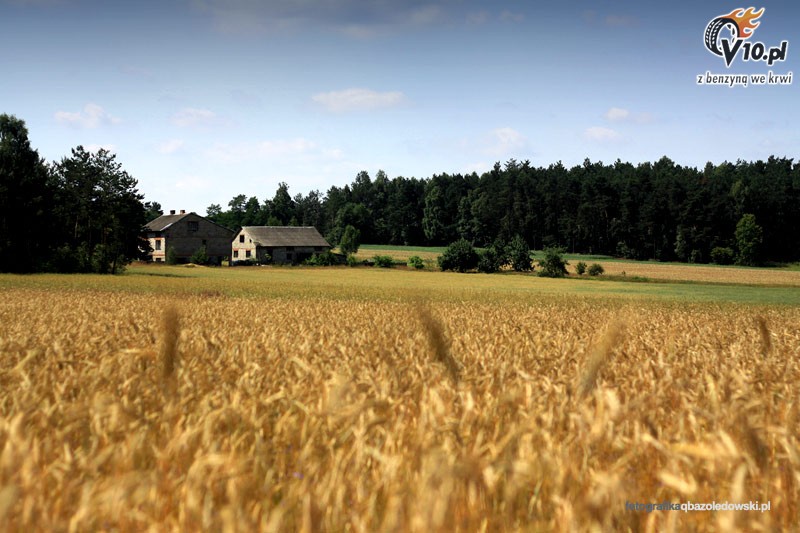 Rajd Przniczka